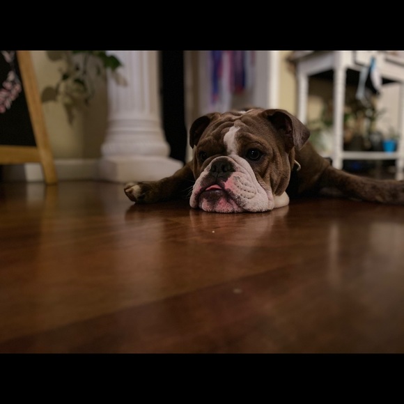 Meet your Posher, J - Picture 3 of 8